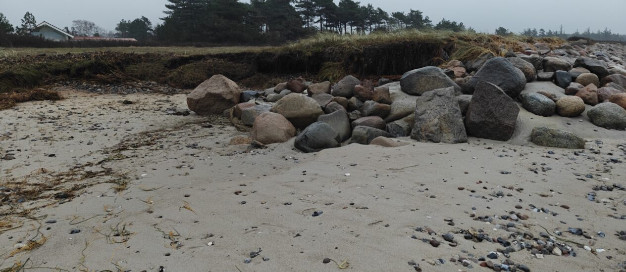 Bestyrelsesmøder
